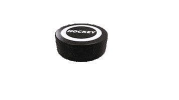 HClokomotiv hockey puck Sticker