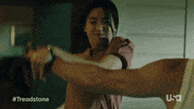 Usa Network Television GIF by Treadstone
