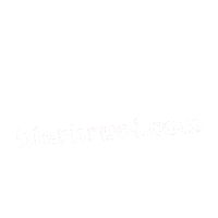 Drinks Leo Sticker by Bier Brudi