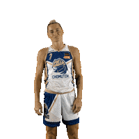 Basketball Sticker by Levharti