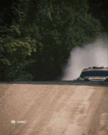 Motorsport Estonia GIF by FIA World Rally Championship