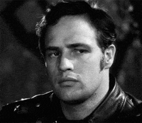 marlon brando laslo benedek GIF by Maudit