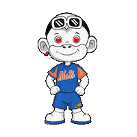 Happy New York Mets Sticker by Zhot