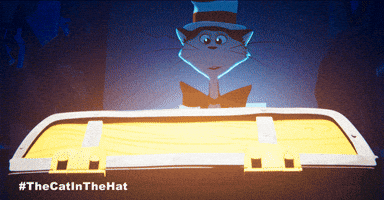 Bill Hader Cat GIF by Warner Bros. Pictures
