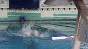Wethebeach Virginiawesleyan GIF by VWU Marlins