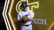 Georgia Tech Baseball GIF by Georgia Tech Yellow Jackets