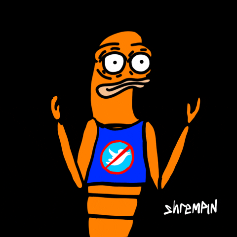 Adult Swim Twitter GIF by shremps