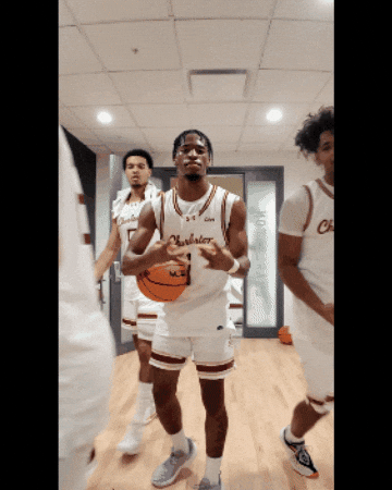 College Of Charleston Cougars GIF by Charleston Basketball