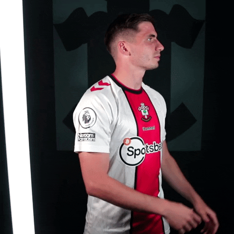 Premier League Football GIF by Southampton FC