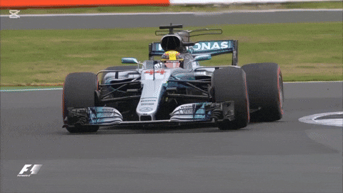 Lewishamilton Wentpeo Formula1 F1 Hamilton GIF