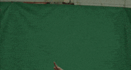 BlueHens tennis bluehens mten clench fist GIF