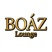 BoazLounge boaz boazberlin boazlounge Sticker