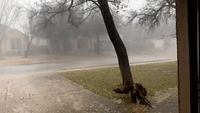 Strong Winds and Rain Hit Round Rock, Texas, Amid Tornado Warnings