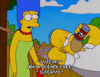 homer simpson episode 10 GIF