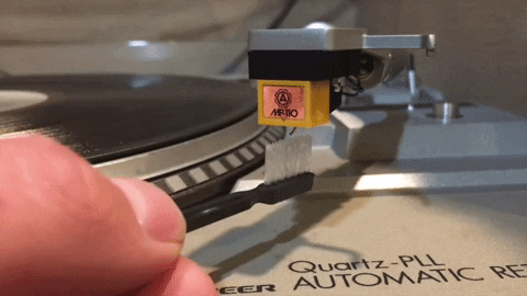 leonardorodrigues7cca giphygifmaker GIF