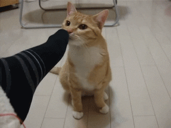 smelling GIF
