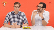 High Five Dogs GIF by BuzzFeed