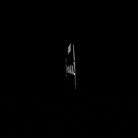 GIF by Kammerl CLub