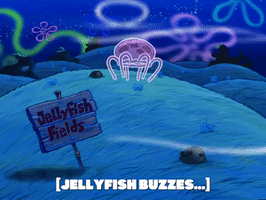 season 5 the two faces of squidward GIF by SpongeBob SquarePants