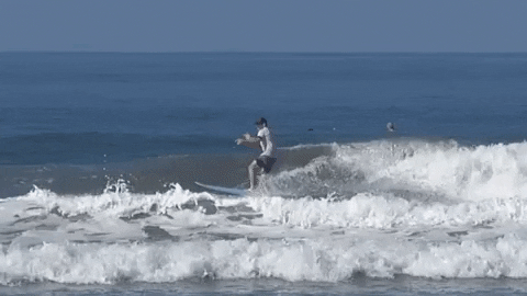 thesurfcontinuum giphyupload surf surfing surfer GIF