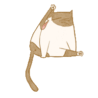 Cat Sticker