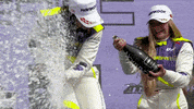 GIF by W Series