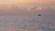 Surprise Monster GIF by Super Simple