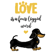 Happy Love Is Love Sticker