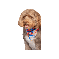 Disney Dog Sticker by Geekster Pets