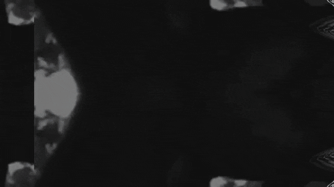 Art Video GIF by jorgemariozuleta