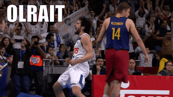 real madrid GIF by ACB