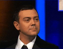 joe lo truglio GIF