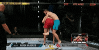Mixed Martial Arts Fight GIF by UFC
