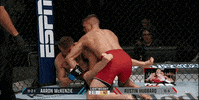 Mixed Martial Arts Fight GIF by UFC