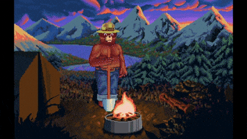 Smokey Bear Video Game