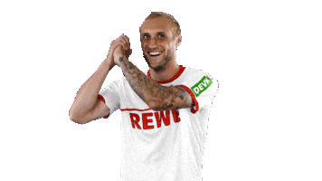 marcel risse soccer Sticker by 1. FC Köln