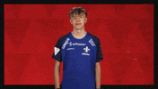Sv Darmstadt 98 Football GIF by Bundesliga