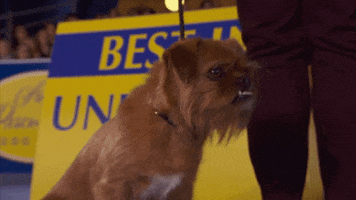 GIF by Hallmark Channel
