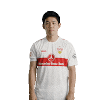 Football Soccer Sticker by VfB Stuttgart