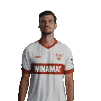 Heart Stenzel Sticker by VfB Stuttgart