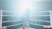 Fight Win GIF by Warner Bros. Deutschland