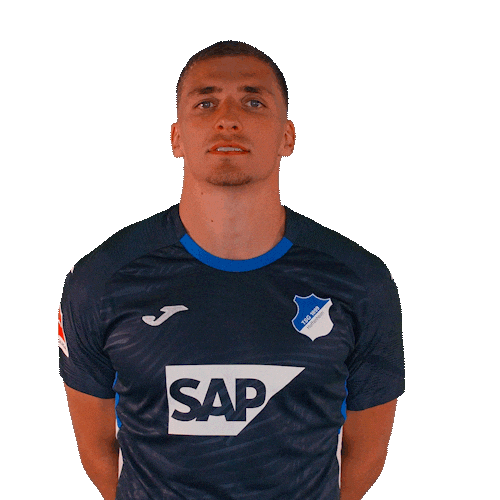 Grischa Prömel Sport Sticker by TSG Hoffenheim