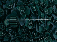 Background Crystal GIF by FranchiseONE.de