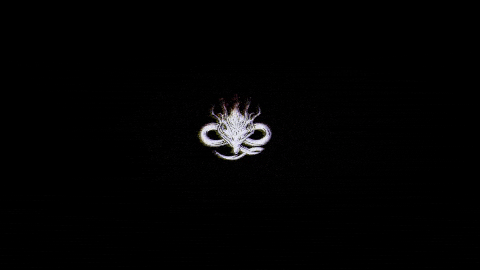 UncleRocKu giphygifmaker wuthering waves GIF