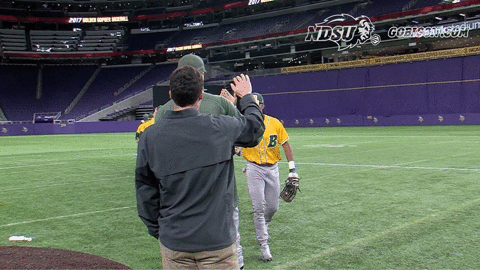 north dakota state baseball GIF by NDSU Athletics