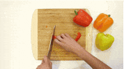 GIF by Mashable