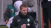 kohfeldt werder bremen GIF