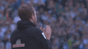 bundesliga kohfeldt GIF by SV Werder Bremen