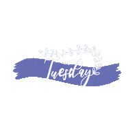 Day Week Sticker