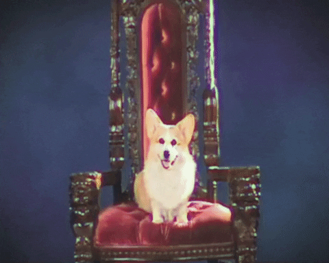 Dogs As You Wish GIF by Yung Bae